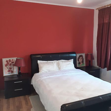 Apartament Cu 3 Camere La Poala Muntilor Fagaras Victoria  Extérieur photo