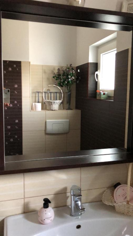 Apartament Cu 3 Camere La Poala Muntilor Fagaras Victoria  Extérieur photo