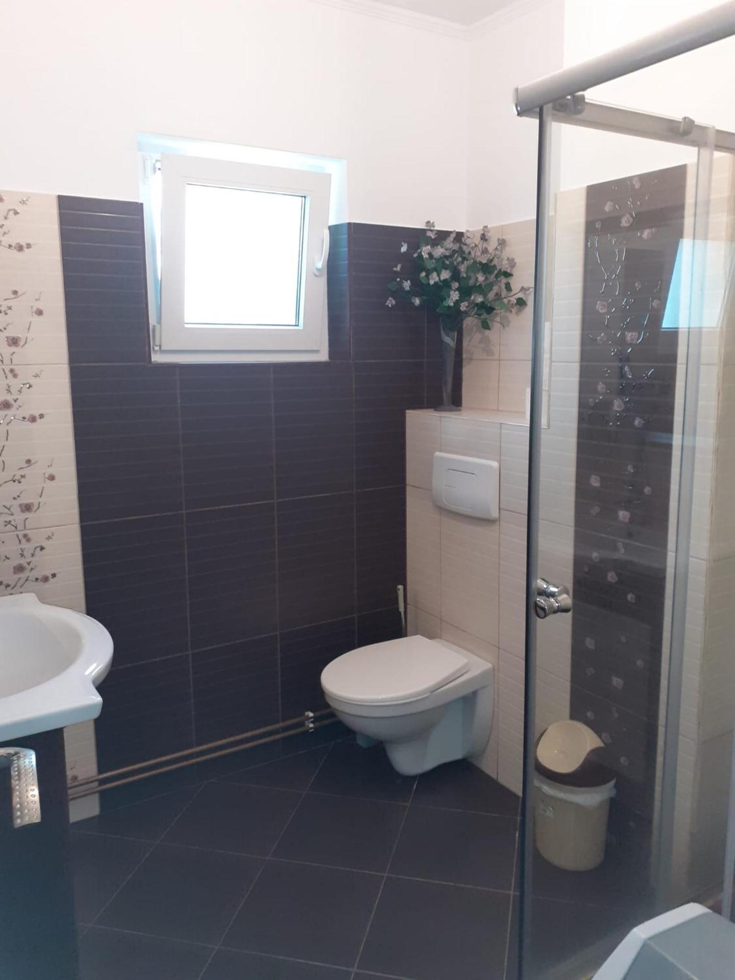 Apartament Cu 3 Camere La Poala Muntilor Fagaras Victoria  Extérieur photo