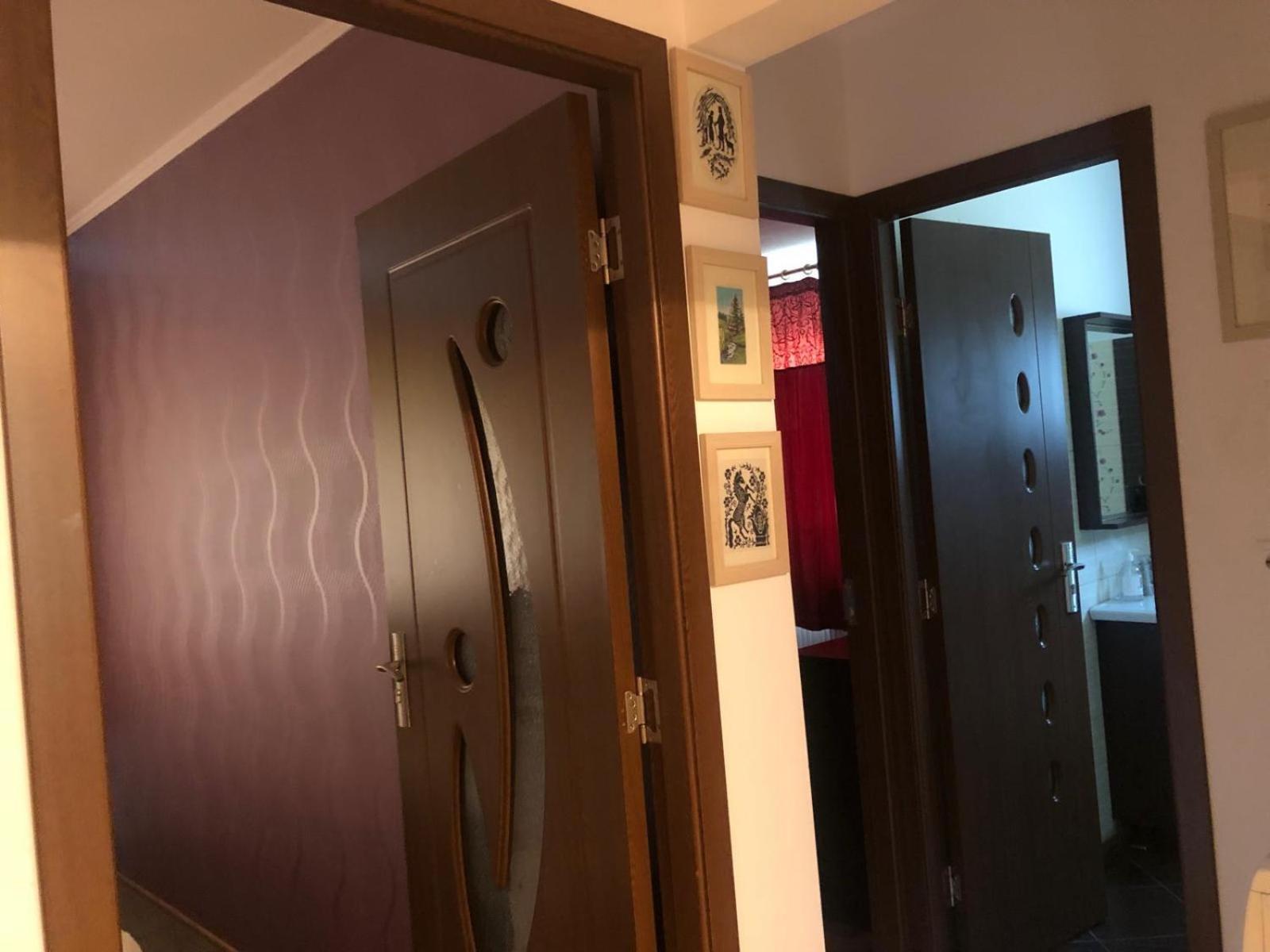 Apartament Cu 3 Camere La Poala Muntilor Fagaras Victoria  Extérieur photo