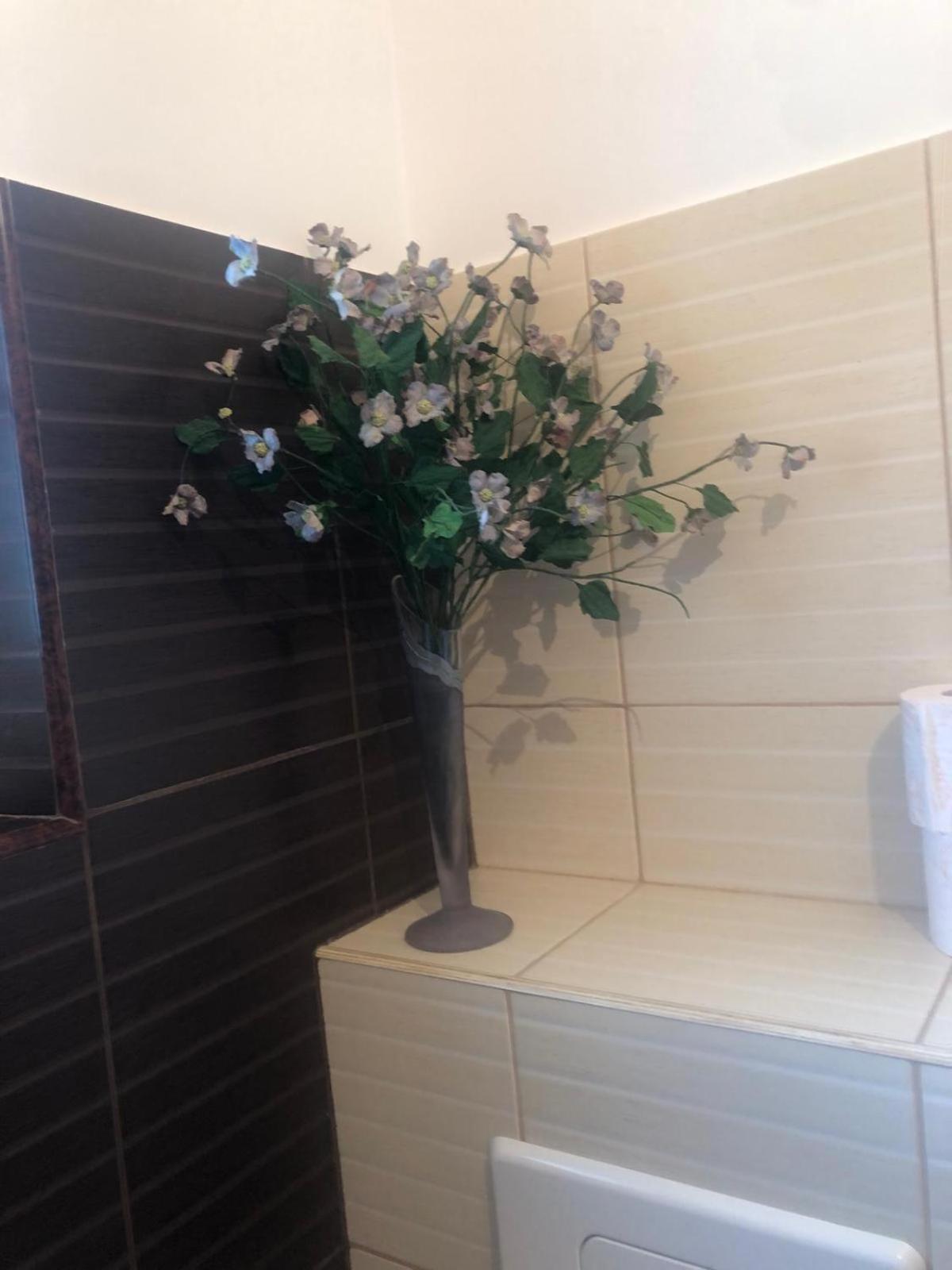 Apartament Cu 3 Camere La Poala Muntilor Fagaras Victoria  Extérieur photo