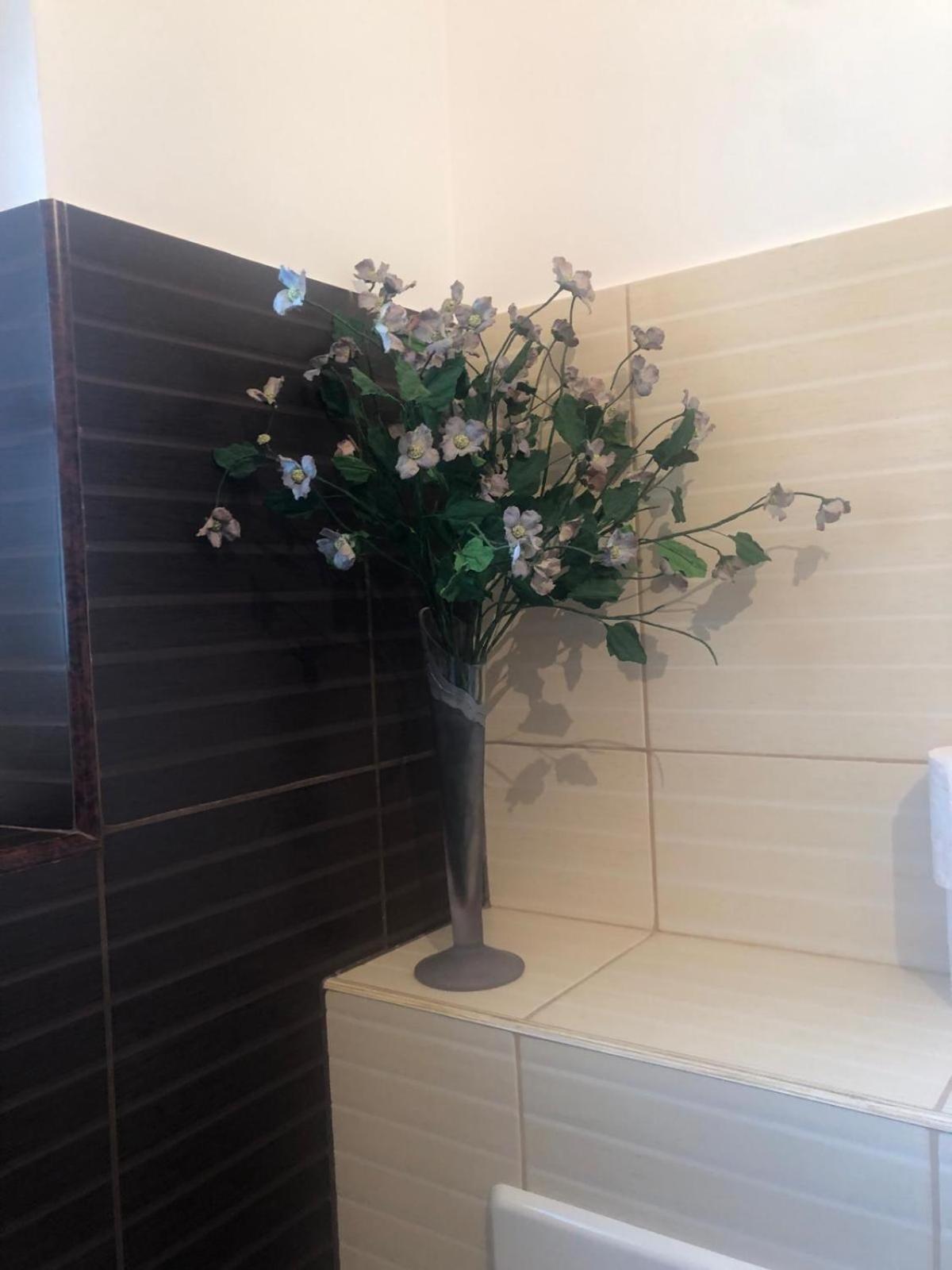 Apartament Cu 3 Camere La Poala Muntilor Fagaras Victoria  Extérieur photo